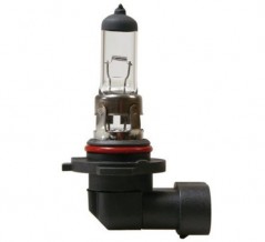 H12 Halogen Glhbirne 12V 53W PZ20D, 1 Stck im Karton