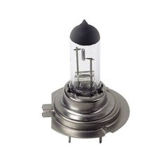 Halogenlampe H7, 12V, 55W, PX26d, 1 St. im Blister