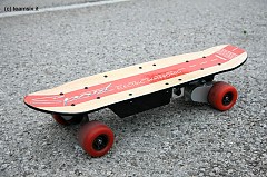 Skateboard elettrico - 400Watt - wooden plate